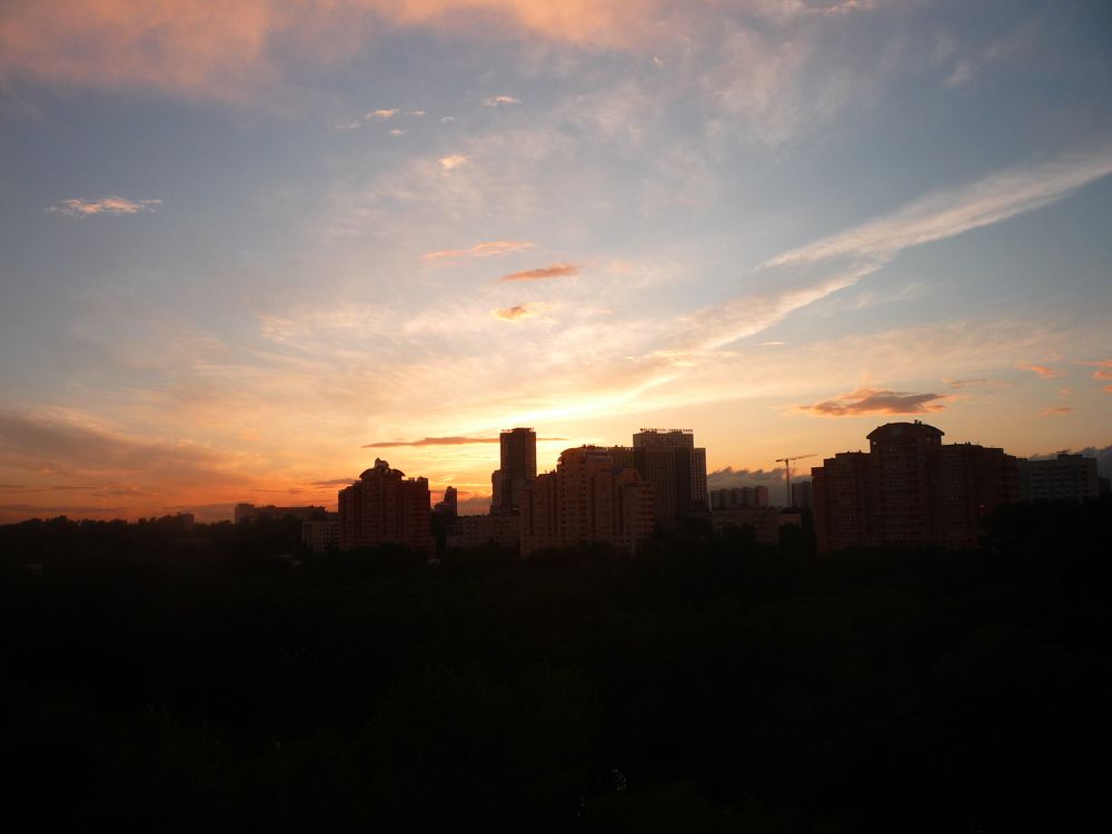 Photo #6355367