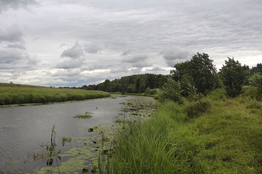 Photograph by Першин Виталий