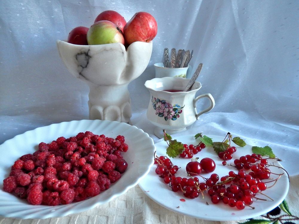 Фотография автора Клавдия Васильева