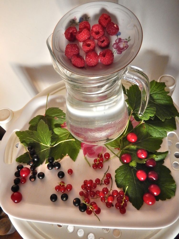 Фотография автора Клавдия Васильева