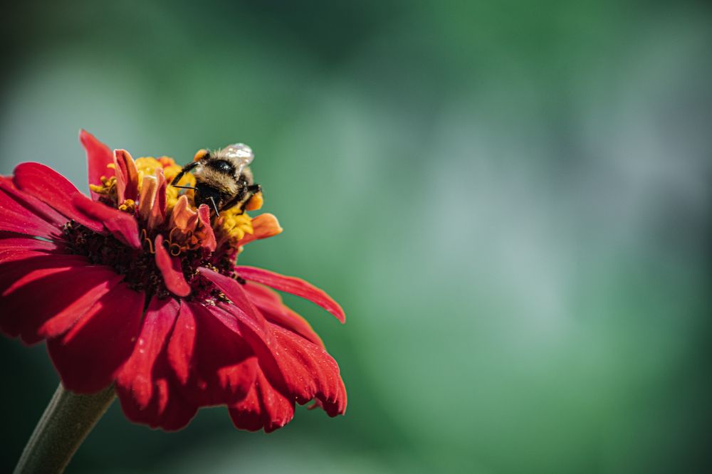 Фотография автора Владислав Белоус