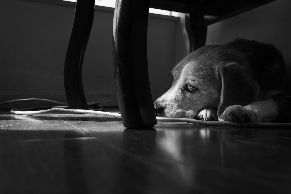 Photograph by Eduardo Machado