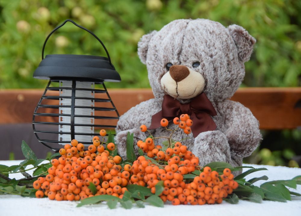 Photograph by Galina Leskova