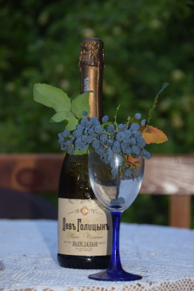 Photograph by Galina Leskova