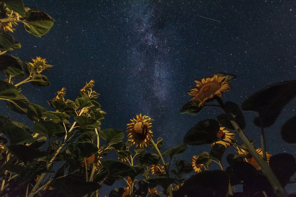 Photograph by Павел Абакумов