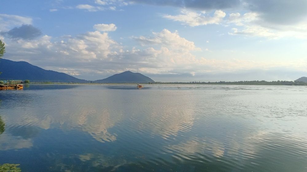 Photo #6355641