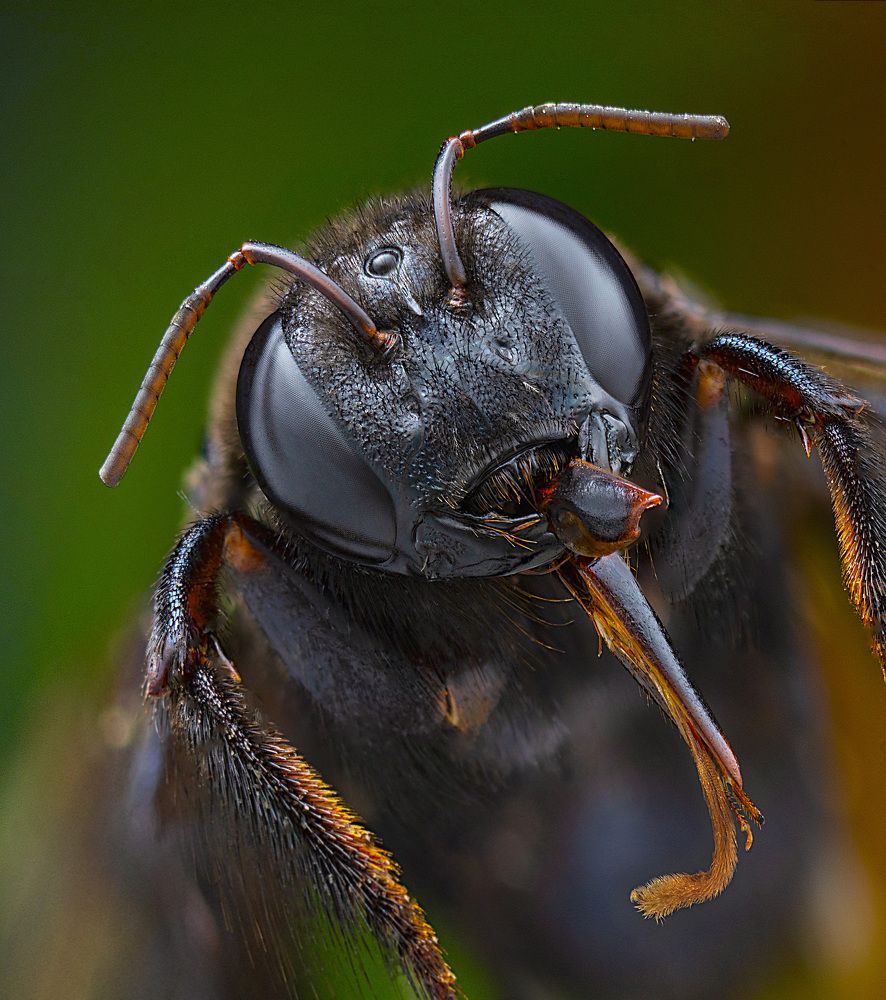 Photograph by Eduardo Modolo