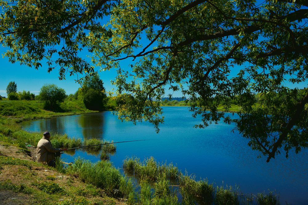 Photograph by Денис Прохоров