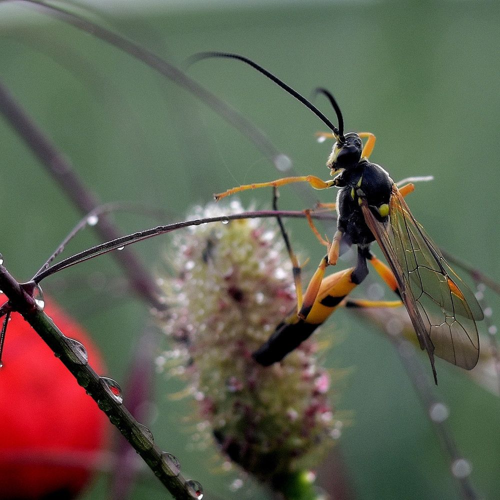 Photograph by Vitalii Kaznin