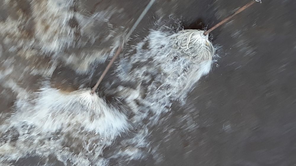 Photograph by Лилия Рыжанкова