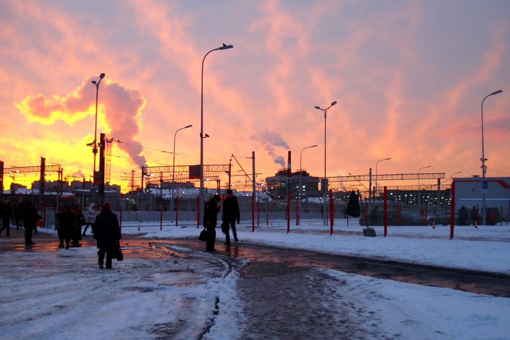 Photo #6355927