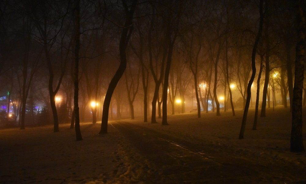 Photograph by Олександр Розум