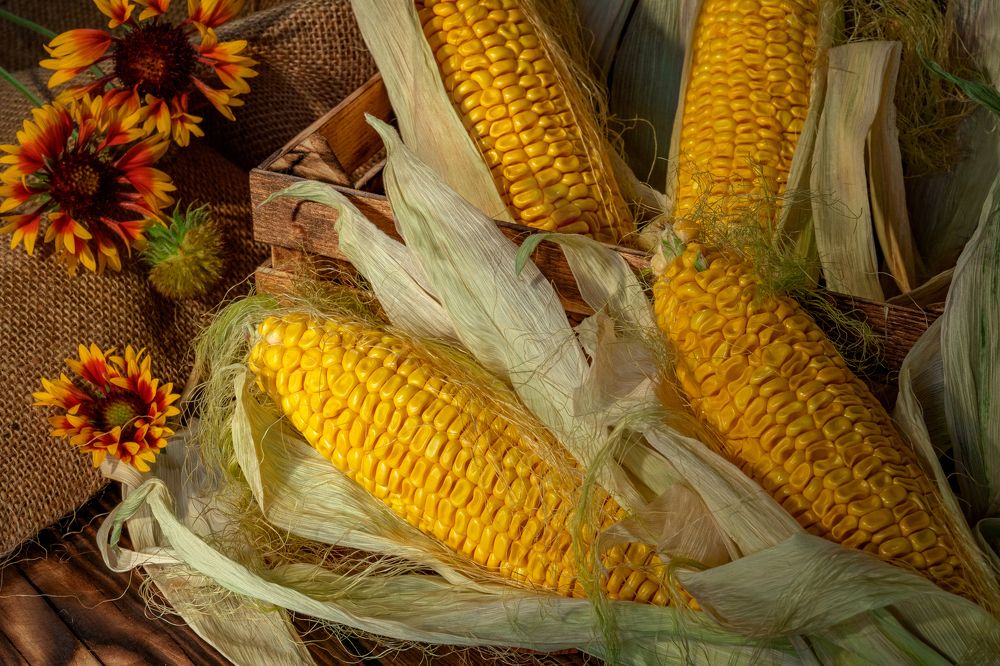 Photograph by Альберт Жильцов