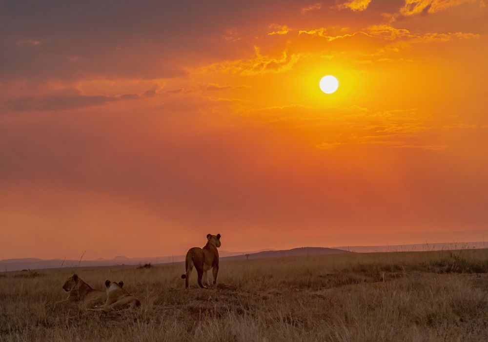 Photograph by Sajeev Krishnan