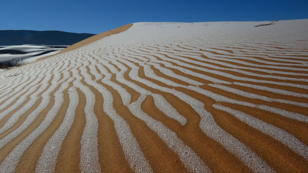 frost in sahara