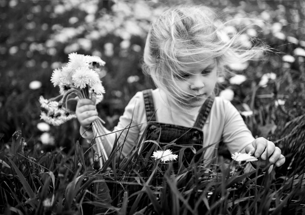 Photograph by Виктория Денисенко