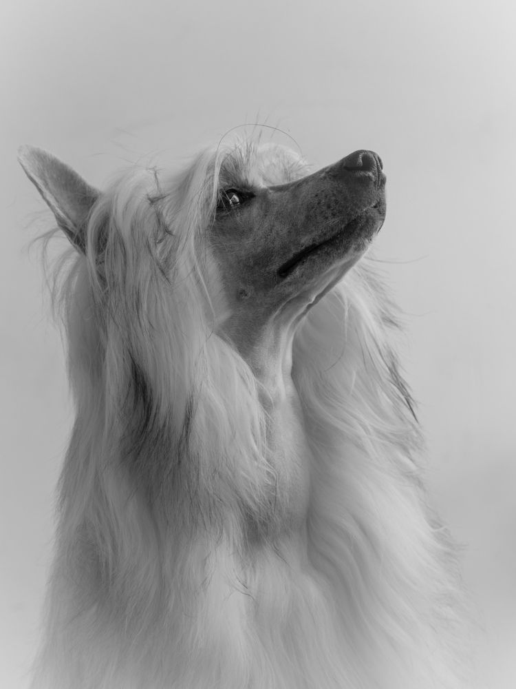 Photograph by Владислав Николаев