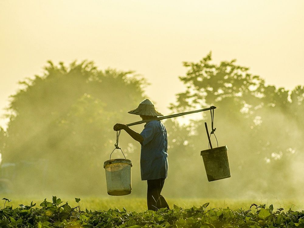 Photograph by Nam Nguyễn