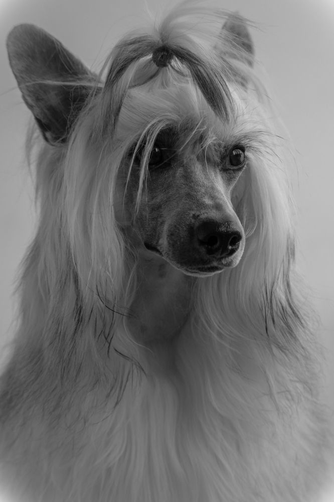 Photograph by Владислав Николаев