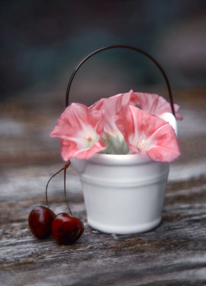 Photograph by Елена Осколкова