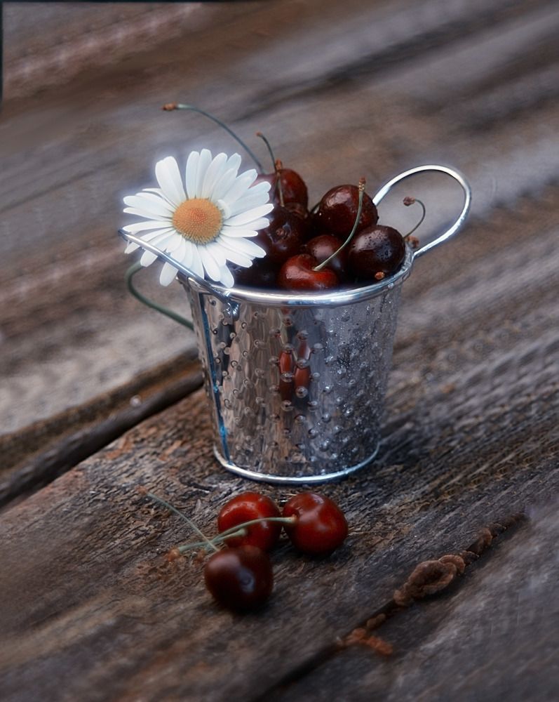 Photograph by Елена Осколкова