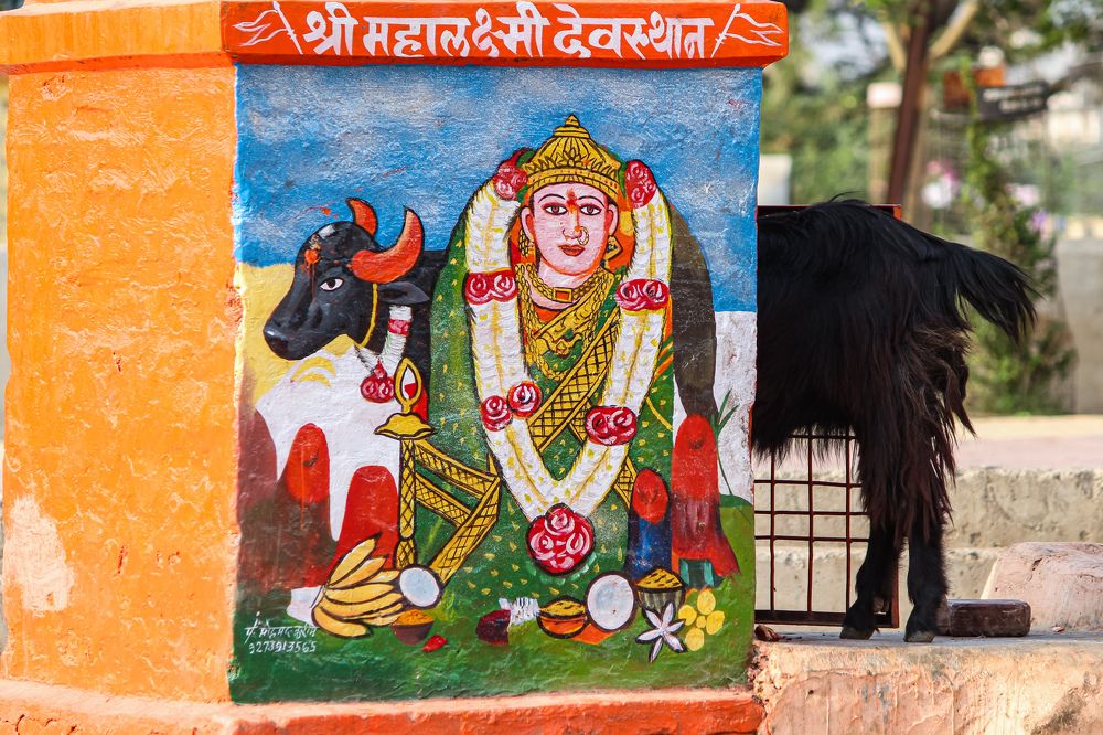 Photograph by Raj Avhad