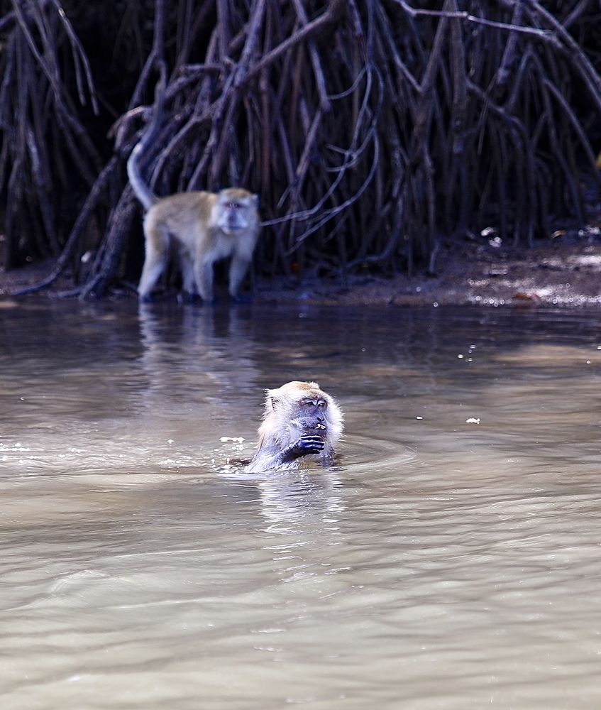 Photograph by Ольга Одаренко