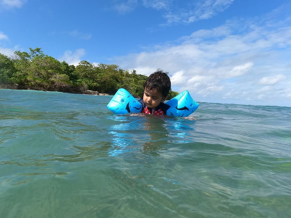 Photo #6356452