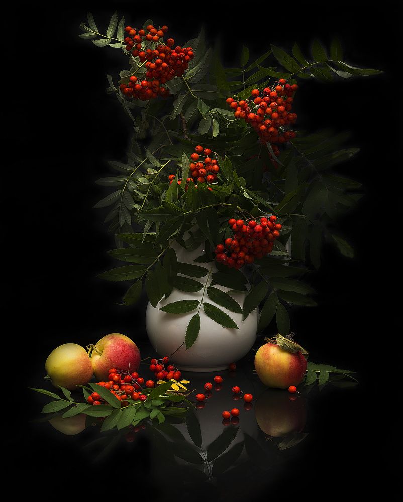 Рябины гроздья алые.