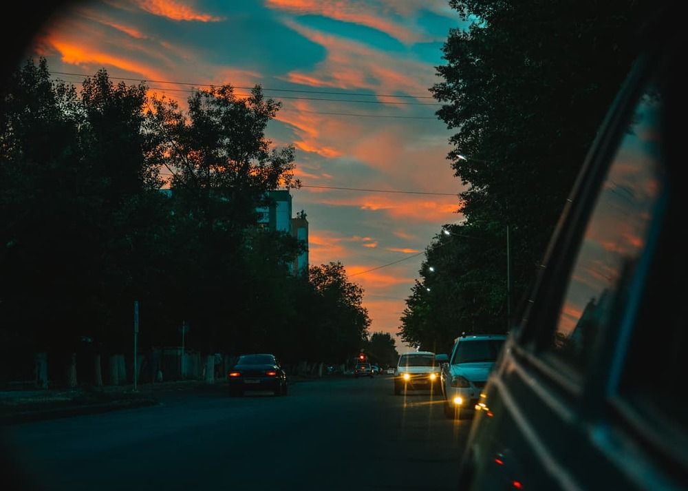 Photograph by Шахрух Аматалиев