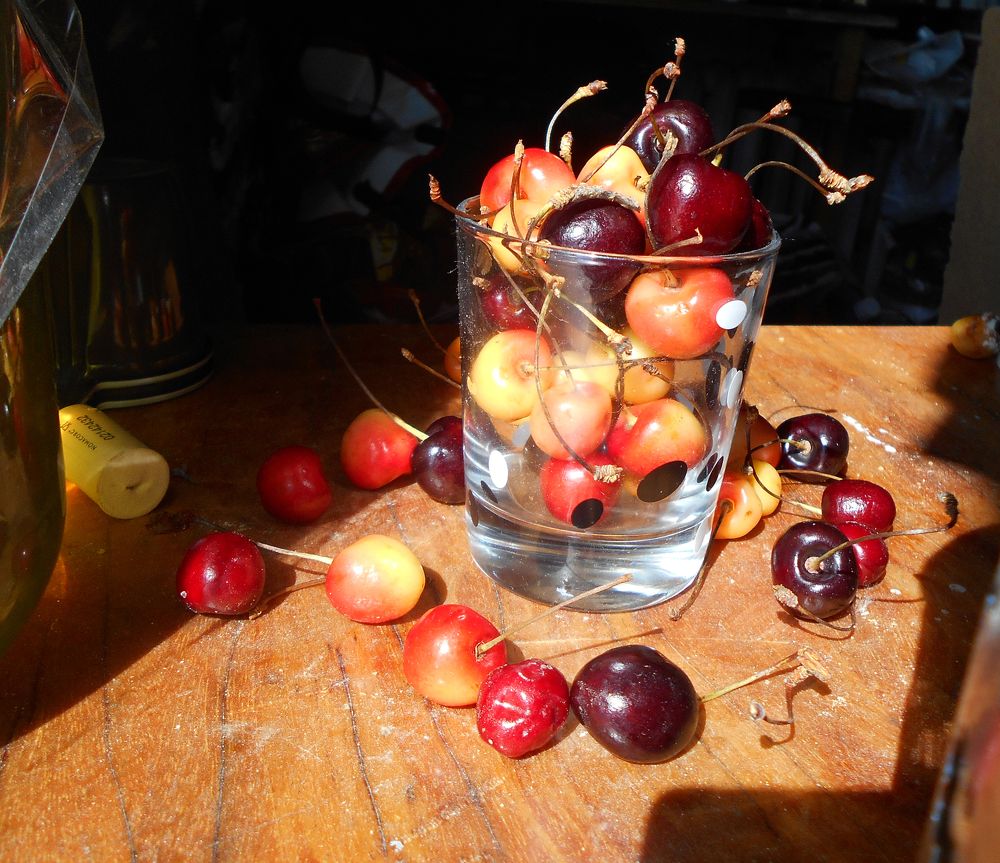 Photograph by Анастасия Кичигина