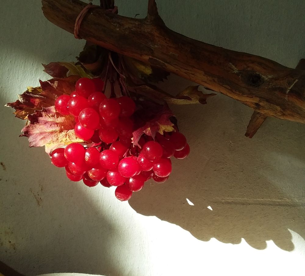 Photograph by Анастасия Кичигина