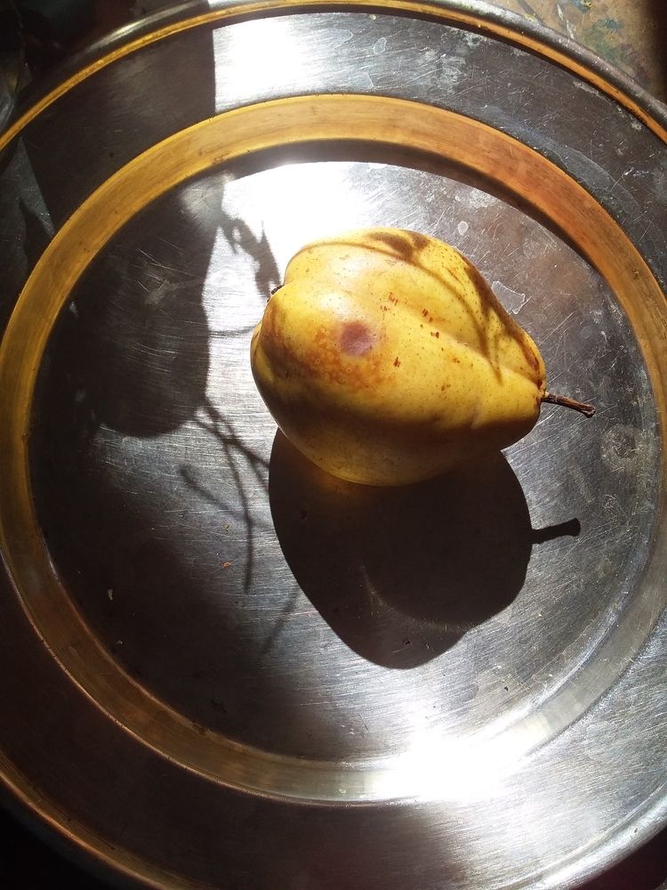 Photograph by Анастасия Кичигина