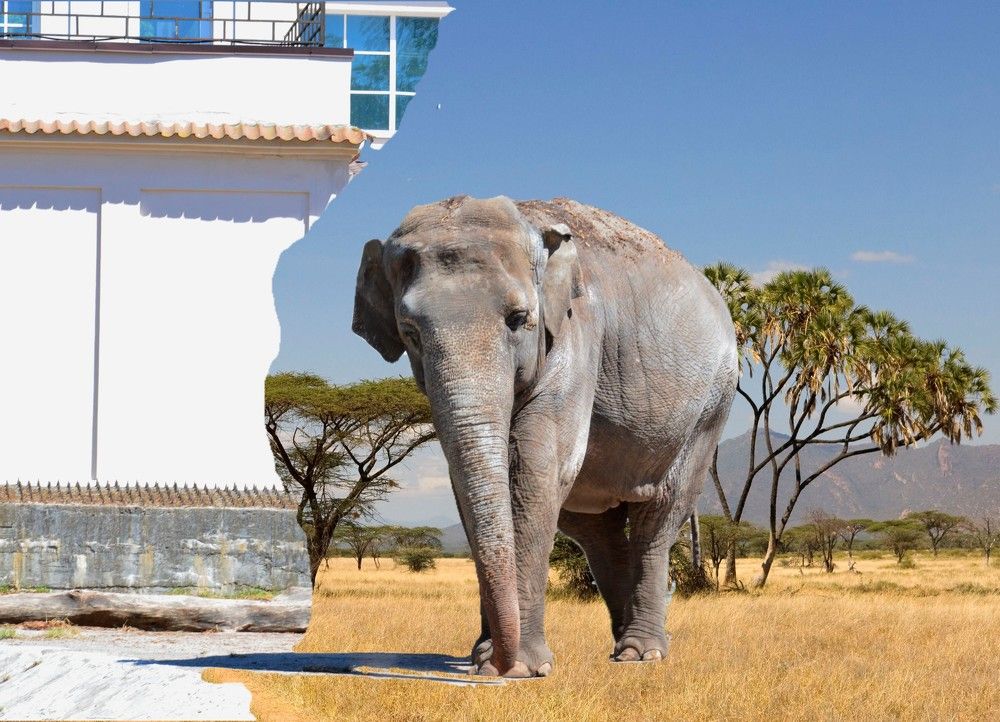 Photograph by Ольга Шевцова