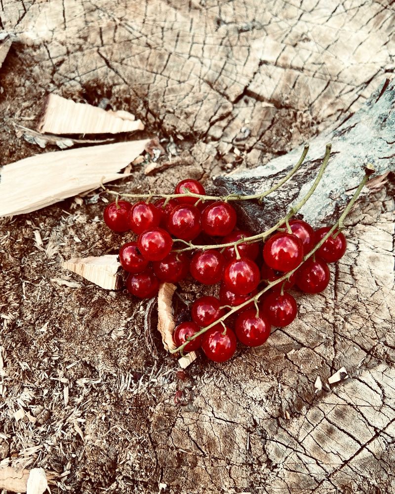 Photograph by Оксана Смородина