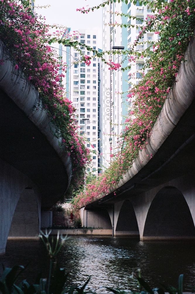 Photograph by HOANG ANH CAO