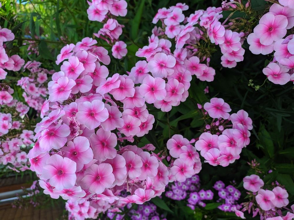 Photograph by Георгий