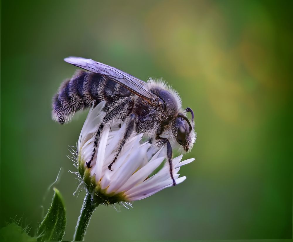 Photograph by Андрей Зимин