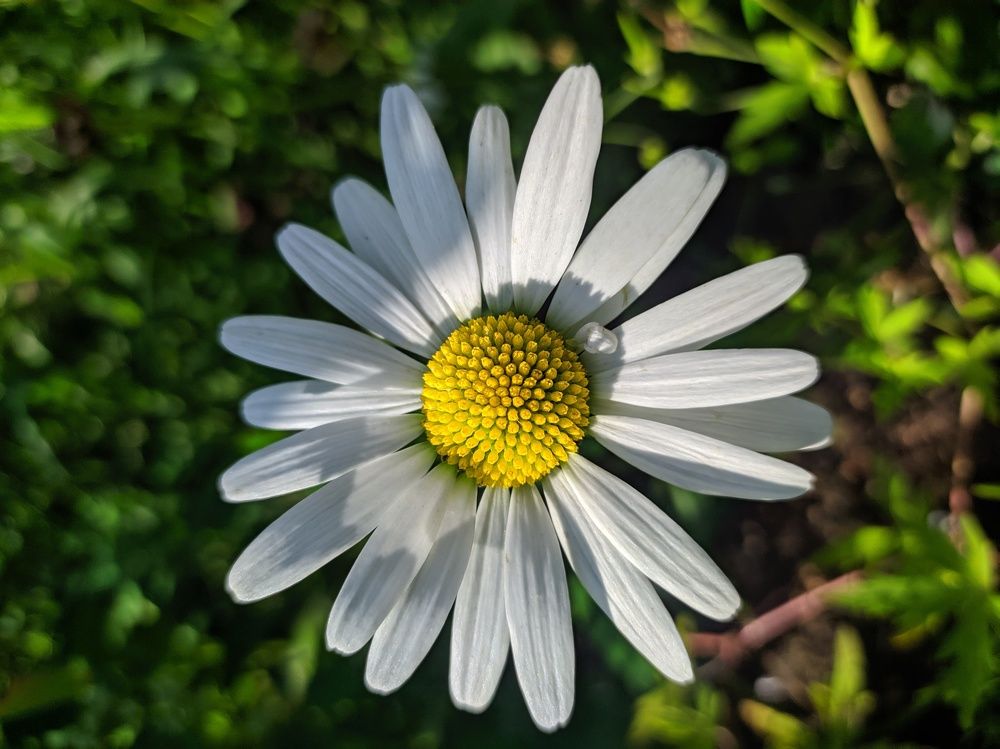 Photograph by Георгий