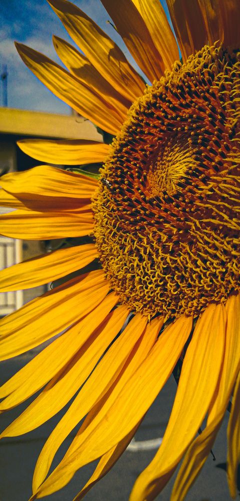 Фотография автора bahar td