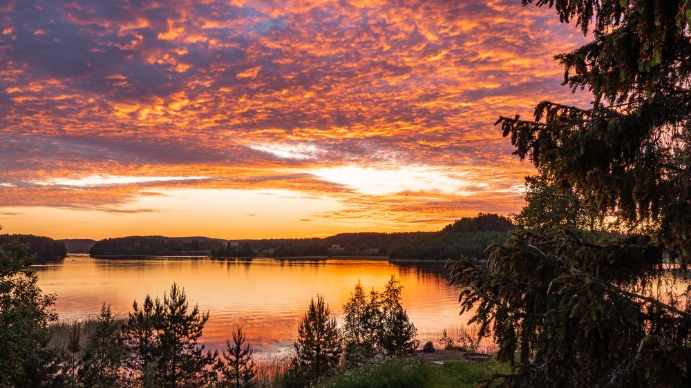 Фотография автора Андрей Васильев