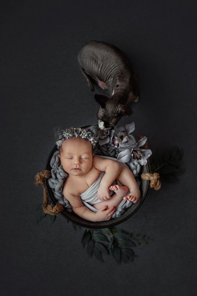 Photograph by Иван Заманухин