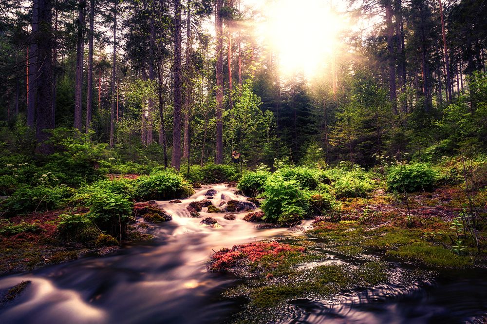 Фотография автора Liviu Ciprian Hiticas