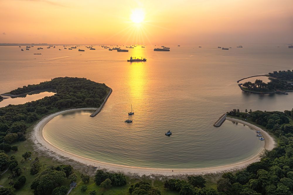 Photograph by PARTHA ROY