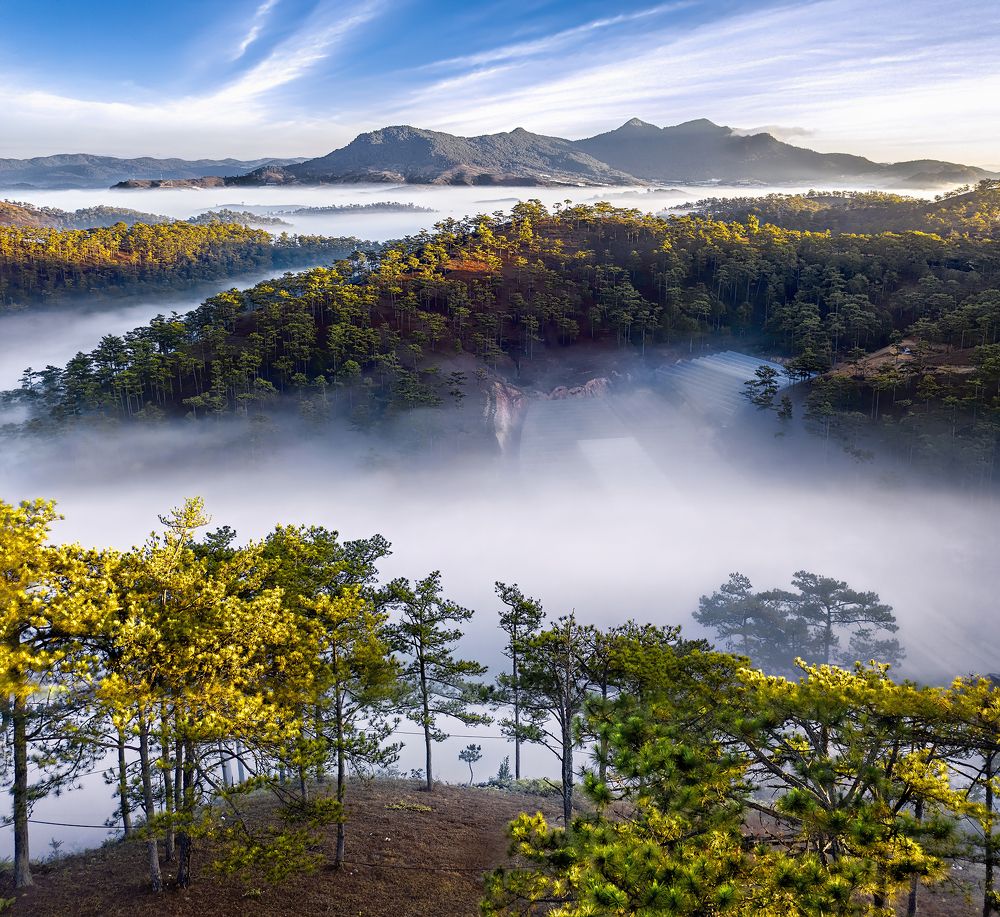 Photograph by PARTHA ROY