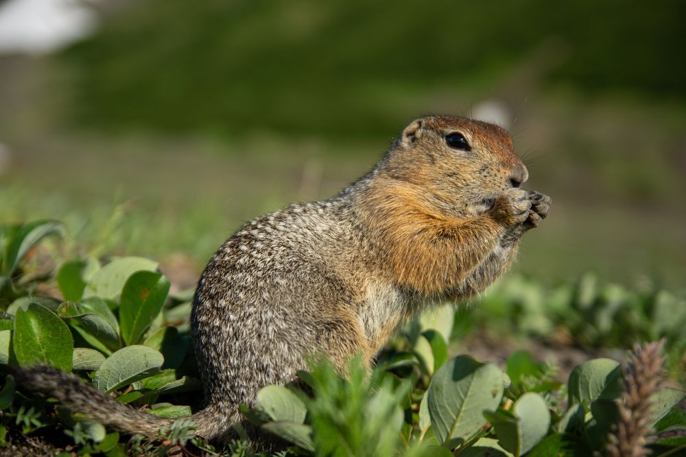 Photograph by Александра Марчак