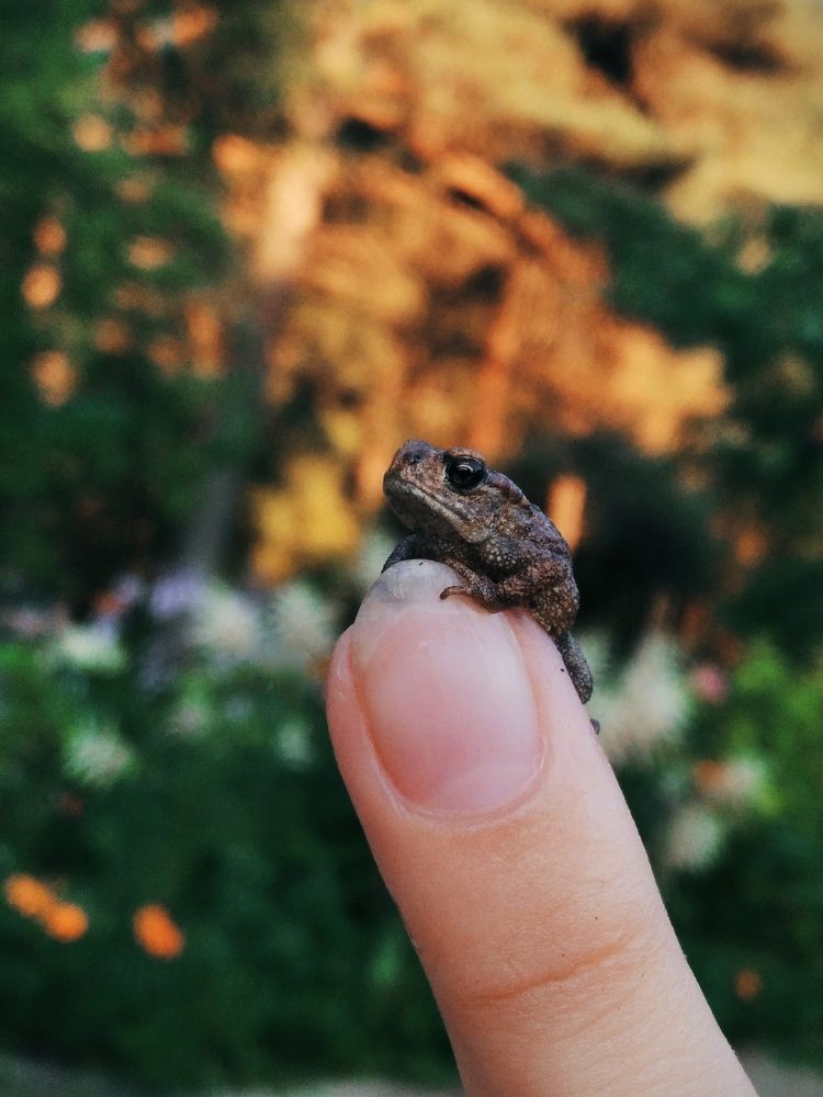 Photograph by Ksenia Sevostianova