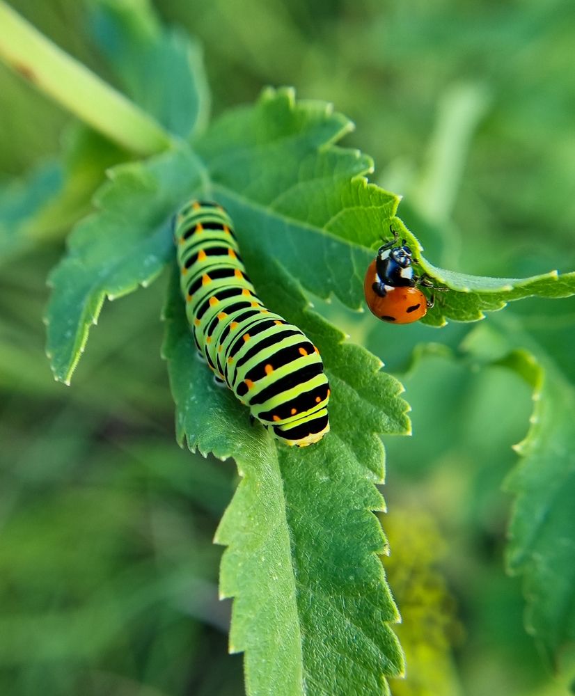 Photograph by Дарья Кривоножкина
