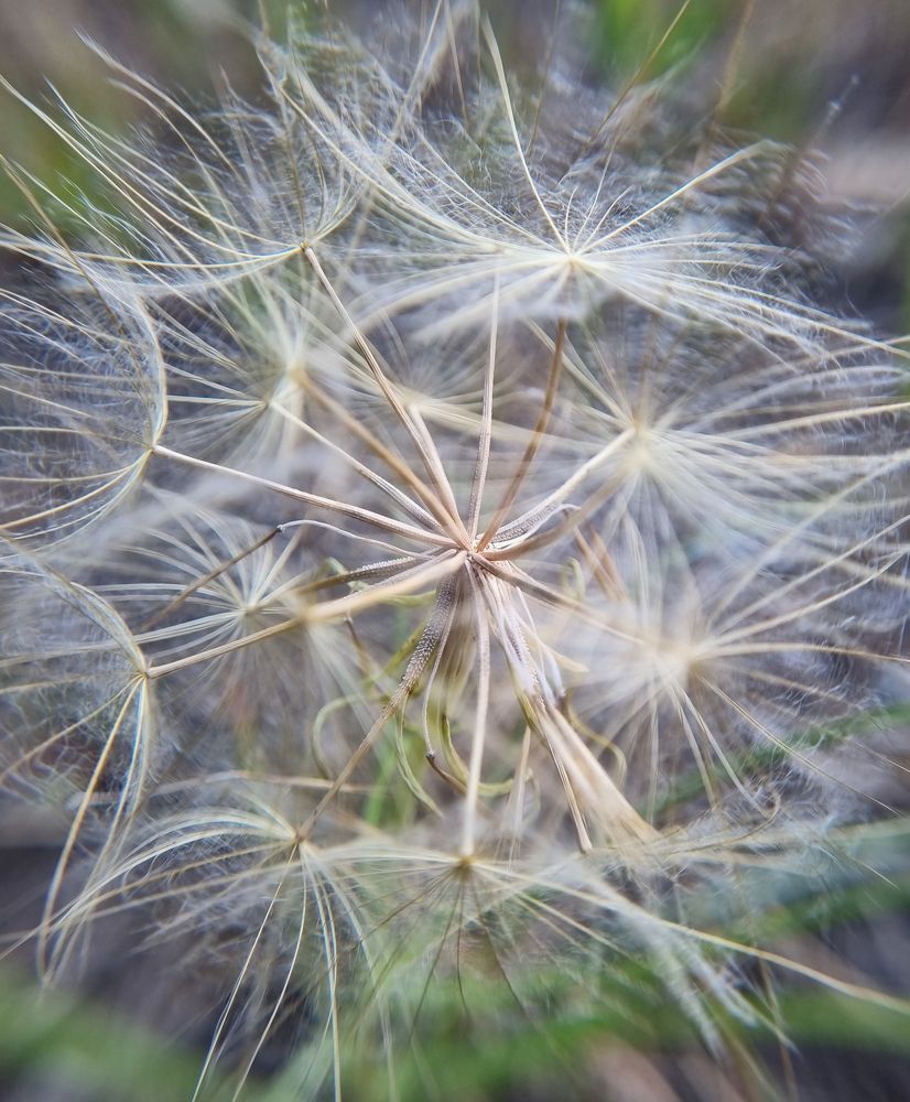 Photograph by Дарья Кривоножкина