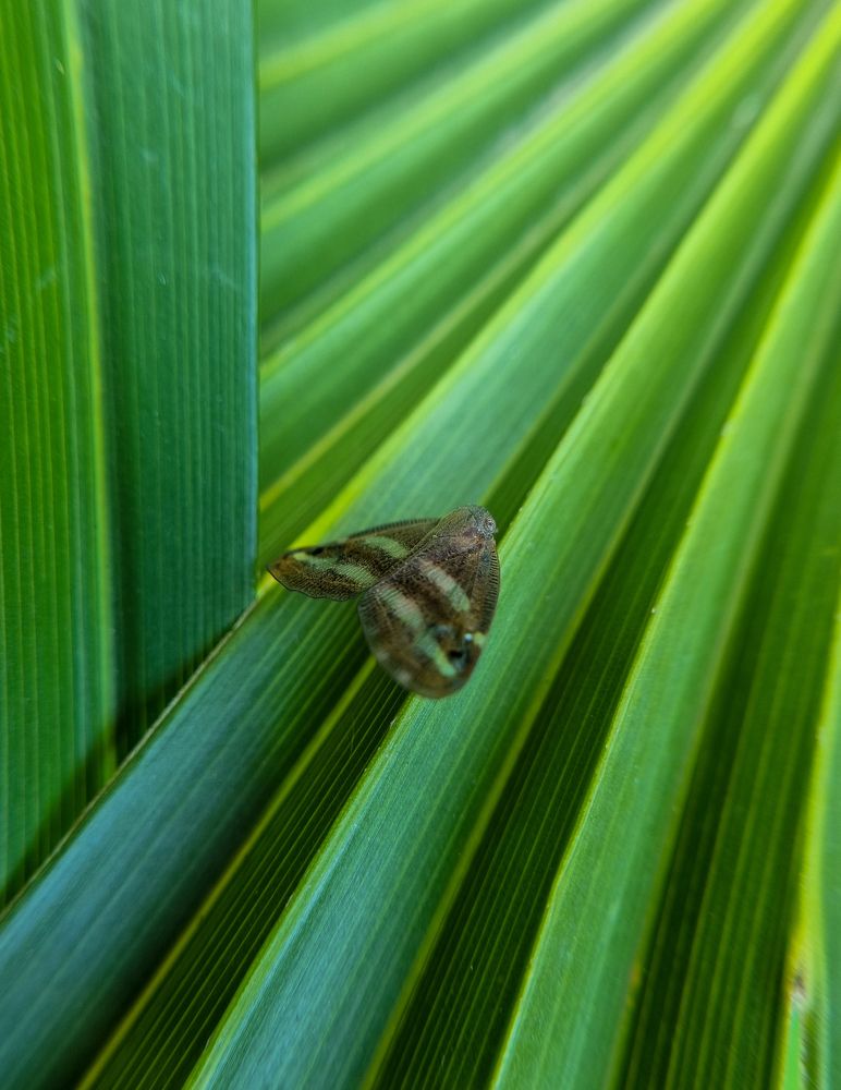 Photograph by Дарья Кривоножкина